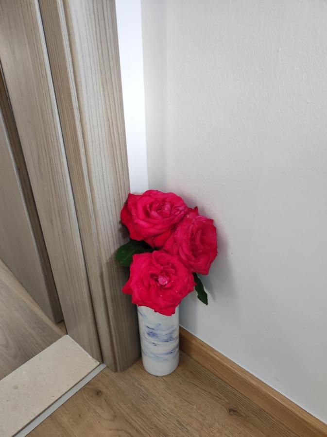 Apartman A&M Dubrovnik Kültér fotó